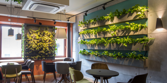 Functional and Stylish Wall-to-Wall Shelves